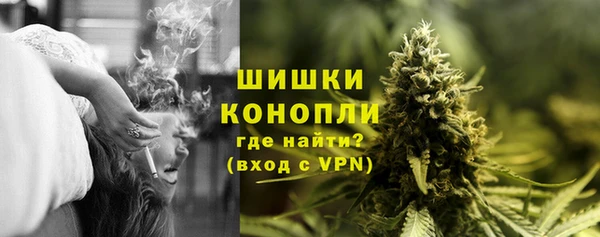 ешки Бородино