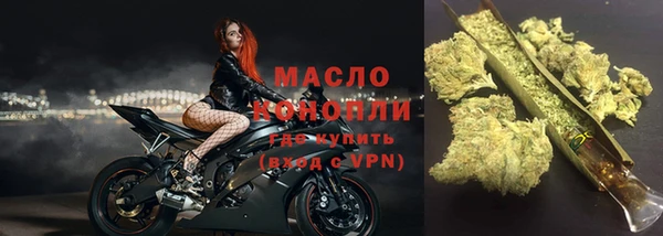 ешки Бородино