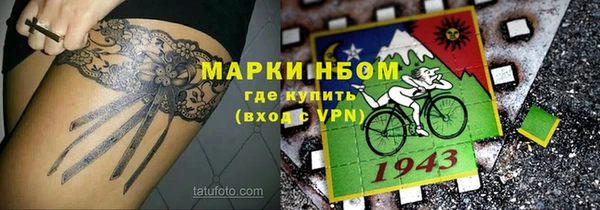 ешки Бородино