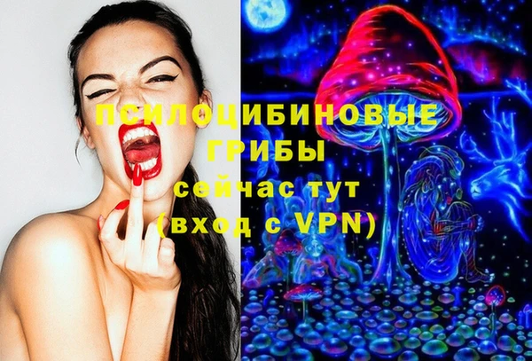 ешки Бородино