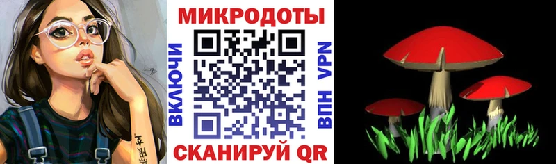 Купить где  Суджа  Галлюциногенные грибы Magic Shrooms 